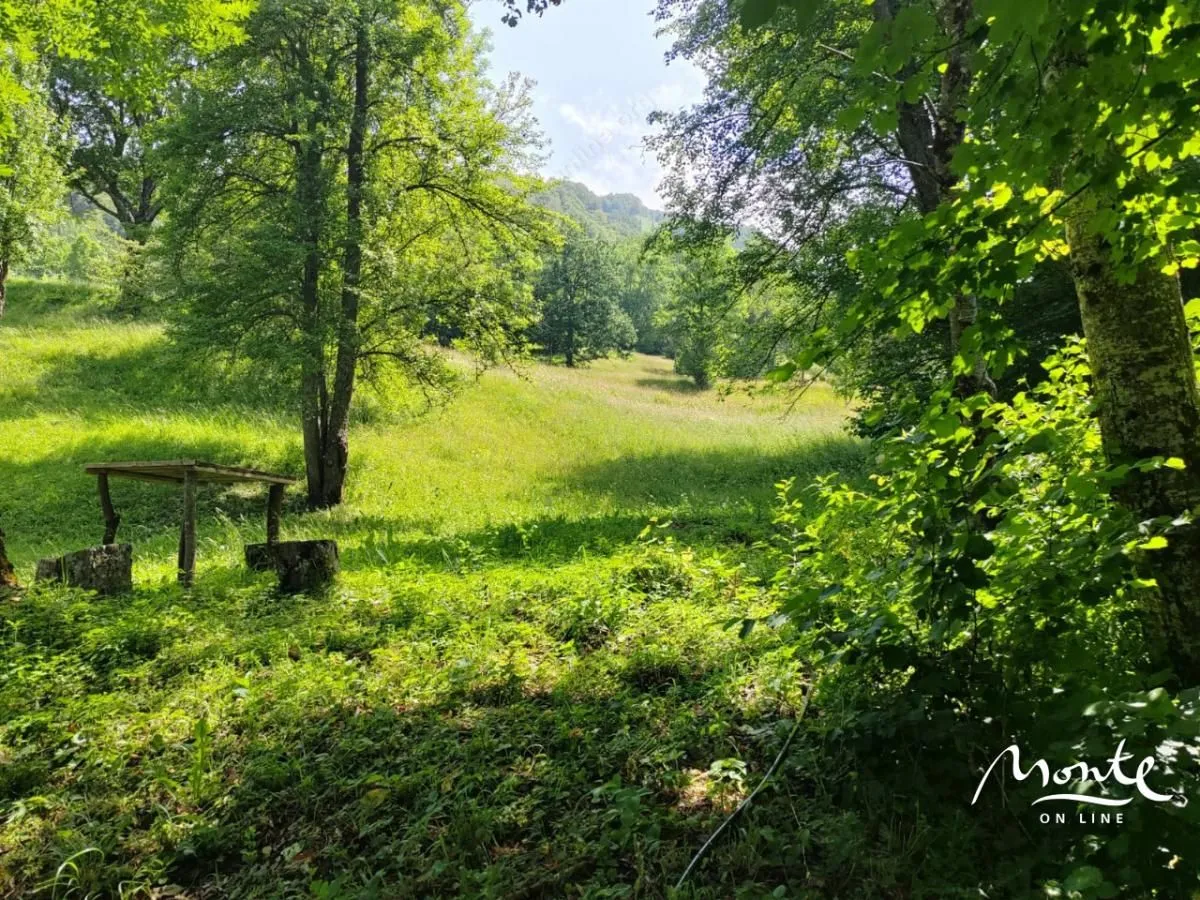 Prodaja, plac, 1313m², Drpe, Kolašin