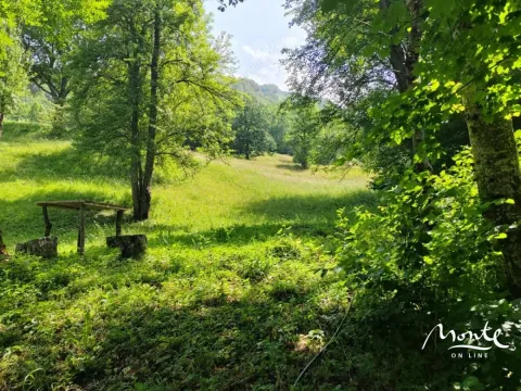 Sale, land lot, 1313m², Drpe, Kolašin - image 3