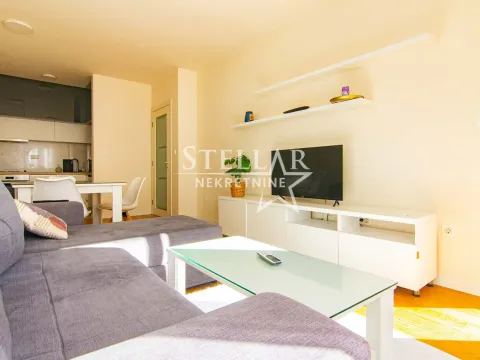 Rent, one bedroom apartment, 47m², Central Point, Podgorica - image 1