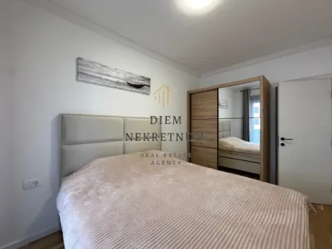 Rent, one bedroom apartment, 43m², Stari Aerodrom, Podgorica - image 3