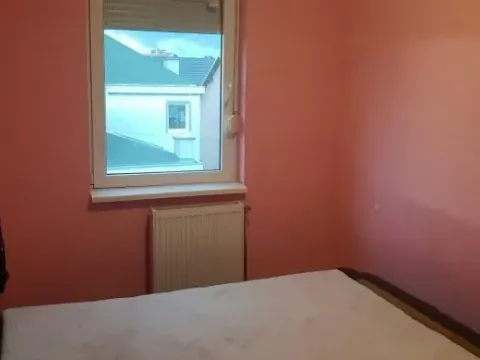 Rent, one bedroom apartment, 46m², Adice, Novi Sad Sve Podlokacije - image 10