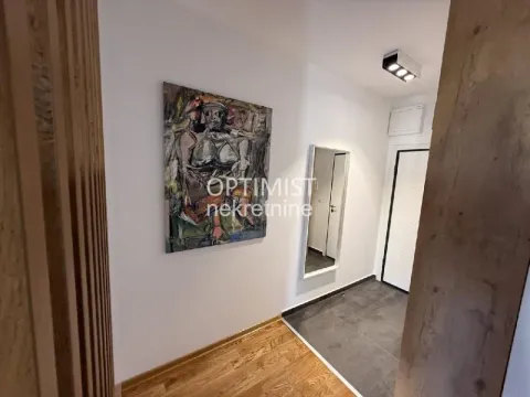 Izdavanje, dvosoban stan, 57m², Vračar Sve Podlokacije, Beograd - image 9