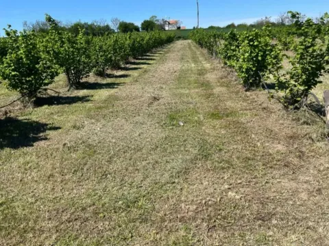Prodaja, plac, 5000m², Vladimirci, Srbija - image 16