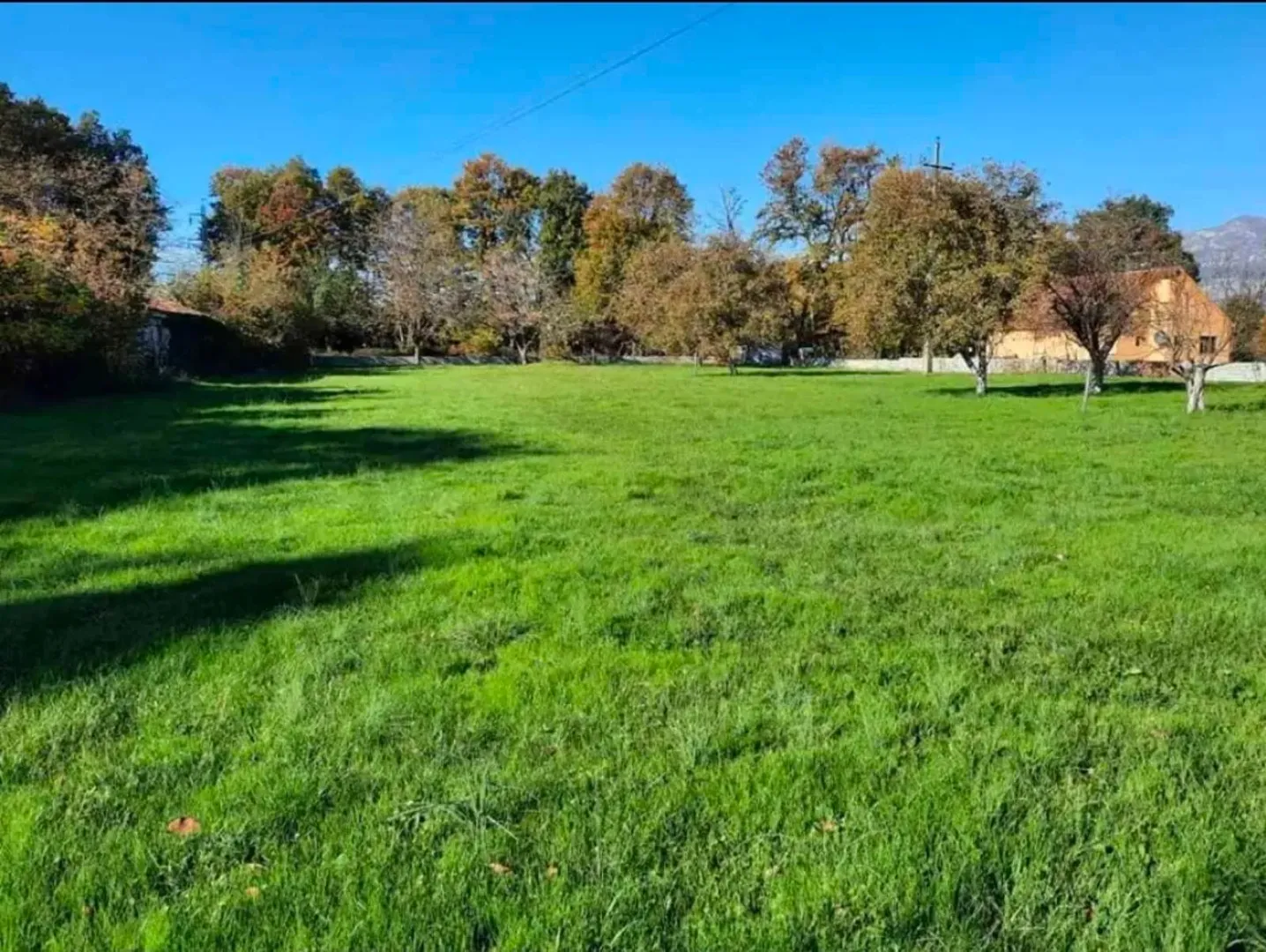 Pogled na prostrano zeleno dvorište sa drvećem.