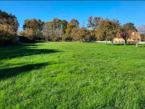Pogled na prostrano zeleno dvorište sa drvećem. - image 3