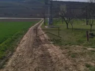 Prodaja, plac, Sviloš, Beočin - image 6