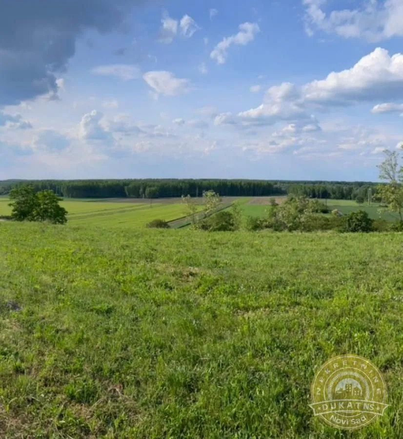 Prodaja, plac, 2400m², Rakovac, Novi Sad Sve Podlokacije
