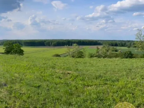 Prodaja, plac, 2400m², Rakovac, Novi Sad Sve Podlokacije - image 5