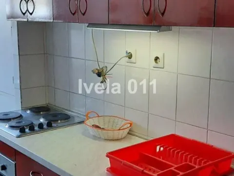 Sale, two bedroom apartment, 50m², Kalenić Pijaca, Vračar Sve Podlokacije - image 15