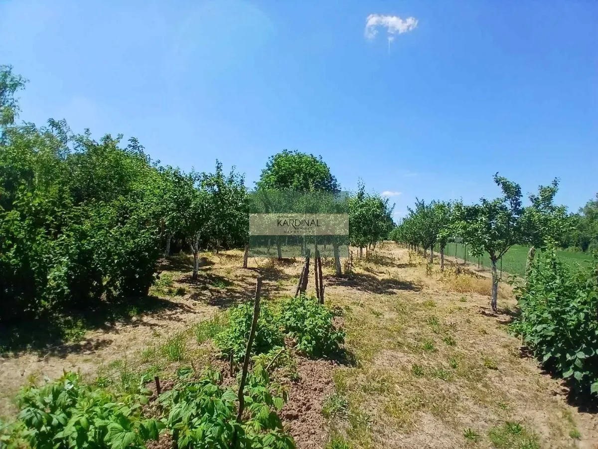 Prodaja, kuća, 65m², Kovačevac, Jagodina