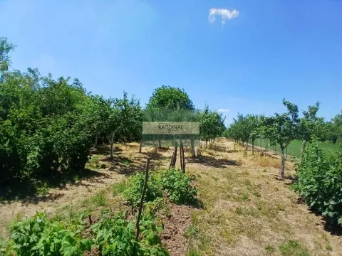 Prodaja, kuća, 65m², Kovačevac, Jagodina - image 2