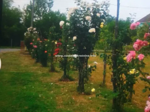 Sale, house, Begovina, Danilovgrad - image 5