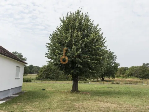 Sale, land lot, 2900m², Danilovgrad, Crna Gora - image 2