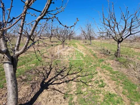 Sale, land lot, 4700m², Ritopek, Grocka - image 9