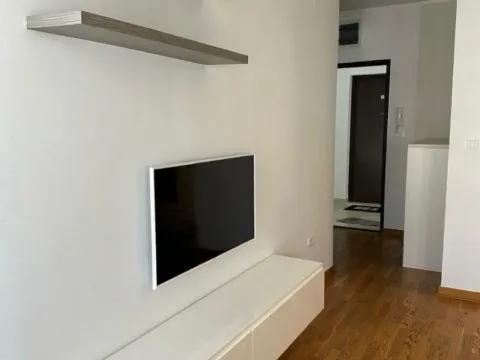 Izdavanje, jednosoban stan, 45m², City Kvart, Podgorica - image 3