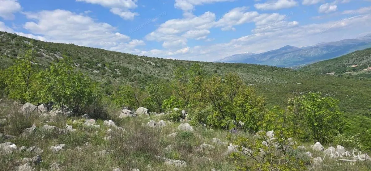 Prodaja, plac, 94785m², Beri, Podgorica