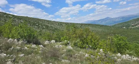 Prodaja, plac, 94785m², Beri, Podgorica - image 3