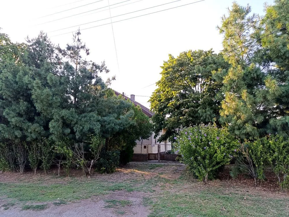 Sale, house, 200m², Čurug, Žabalj