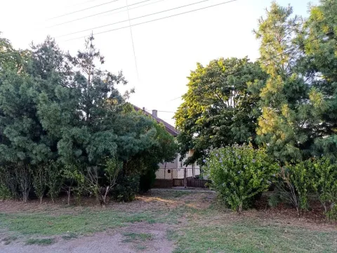 Prodaja, kuća, 200m², Čurug, Žabalj - image 15