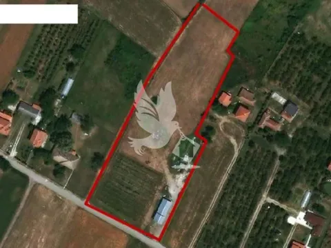 Prodaja, plac, 16400m², Koraćica, Mladenovac - image 2