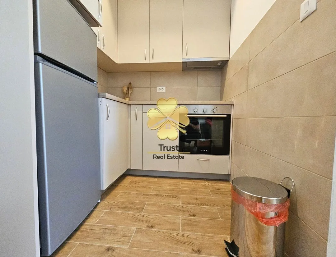 Rent, one bedroom apartment, 45m², Zagorič, Podgorica