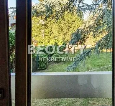 Izdavanje, poslovni prostor, 280m², Dedinje Sve Podlokacije, Beograd - image 37