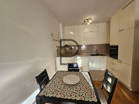 Rent, one bedroom apartment, 55m², Ljubović, Podgorica - image 12