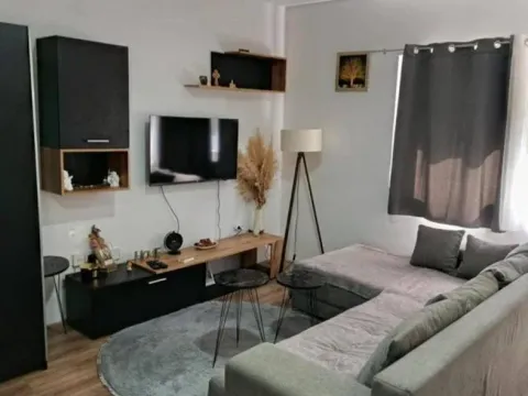 Sale, one bedroom apartment, 29m², Adice, Novi Sad Sve Podlokacije - image 2