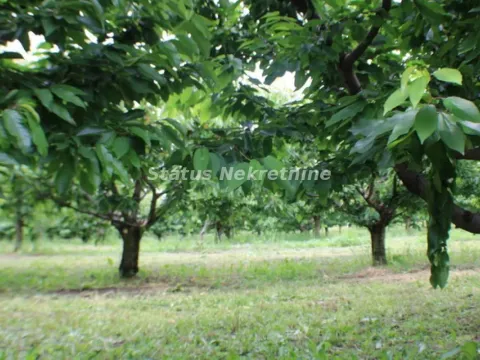 Prodaja, plac, 114m², Krčedin, Inđija - image 5