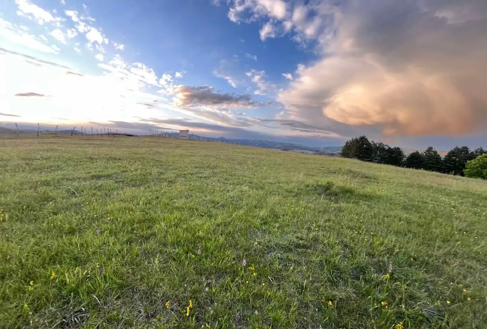 Prodaja, plac, 7500m², Tometino Polje, Požega