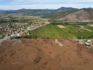 Prodaja, plac, 13000m², Sadine, Podgorica - image 4