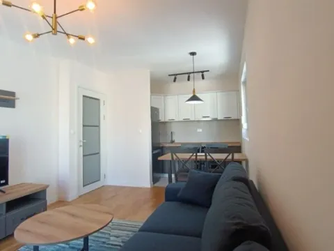 Izdavanje, jednosoban stan, 42m², Podgorica, Crna Gora - image 11