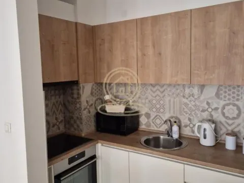 Rent, two bedroom apartment, 51m², Južni Bulevar, Vračar Sve Podlokacije - image 9