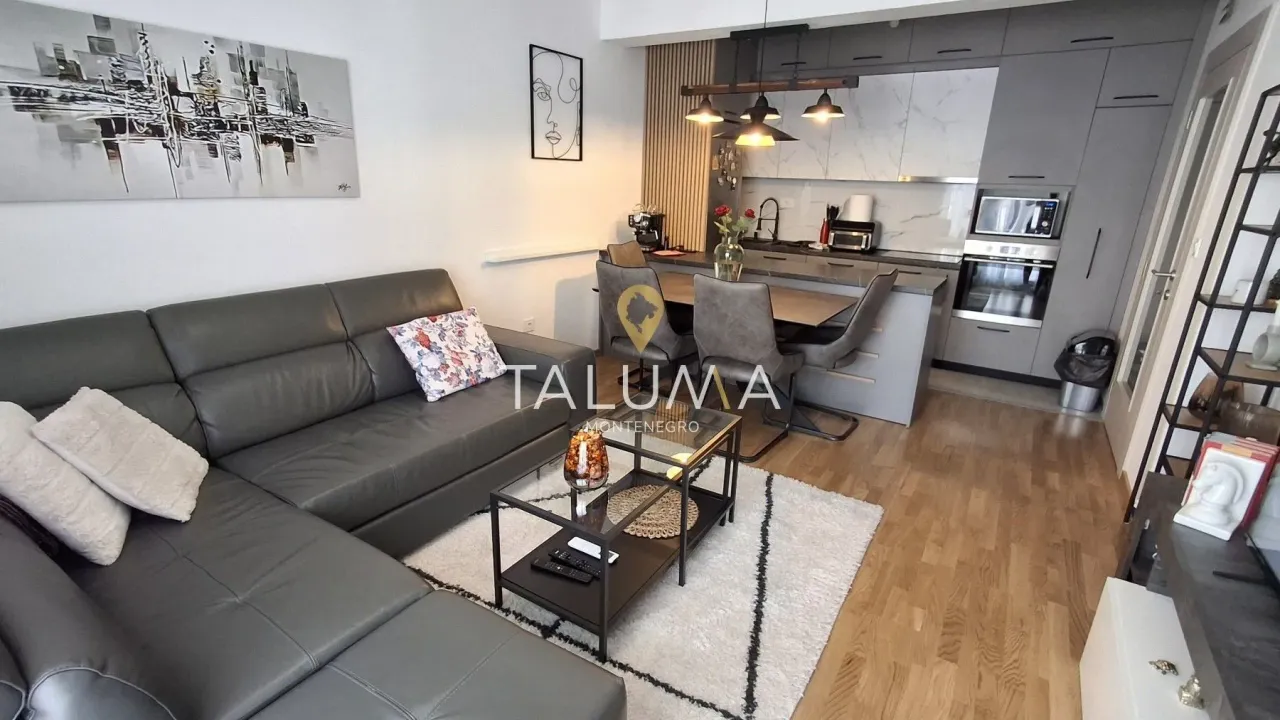 Rent, one bedroom apartment, 48m², Stara Varoš, Podgorica