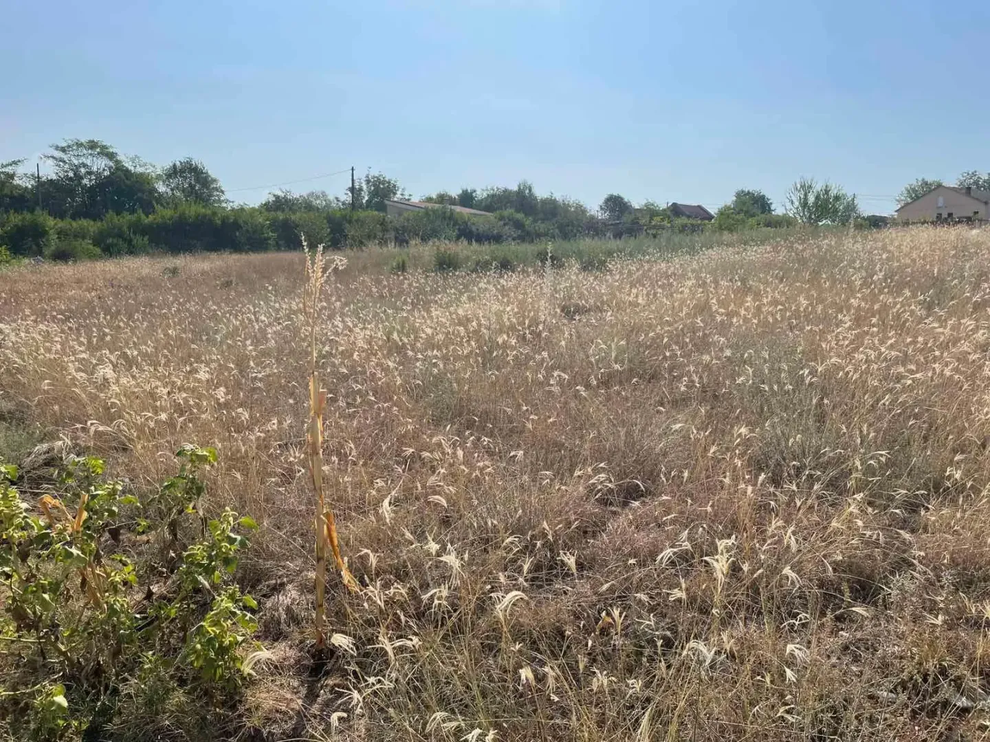 Prodaja, plac, 2454m², Novo Selo, Danilovgrad