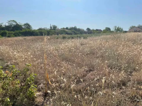 Prodaja, plac, 2454m², Novo Selo, Danilovgrad - image 4