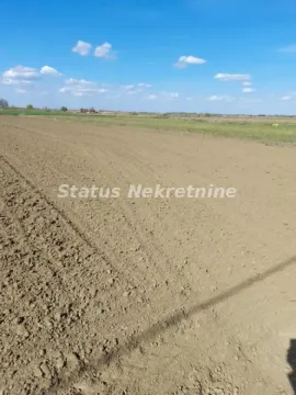 Pogled na prostrano poljoprivredno zemljište pod vedrim nebom. - image 3