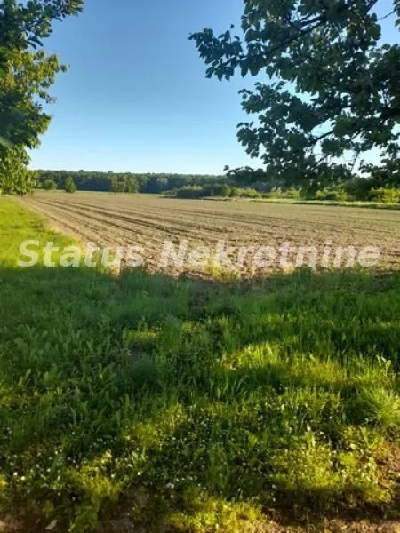 Prodaja, kuća, 194m², Šid, Srbija