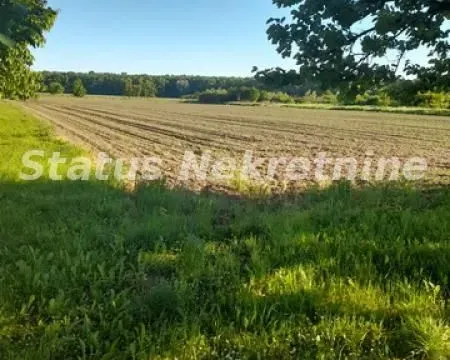 Prodaja, kuća, 194m², Šid, Srbija - image 15