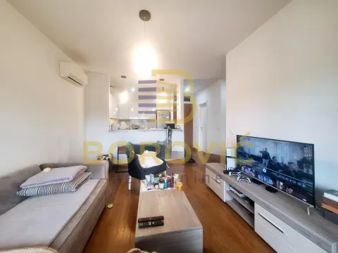 Izdavanje, dvosoban stan, 44m², Vračar Sve Podlokacije, Beograd - image 2