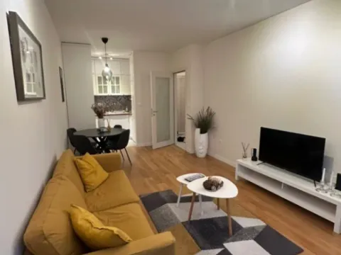 Izdavanje, jednosoban stan, 47m², Central Point, Podgorica - image 5