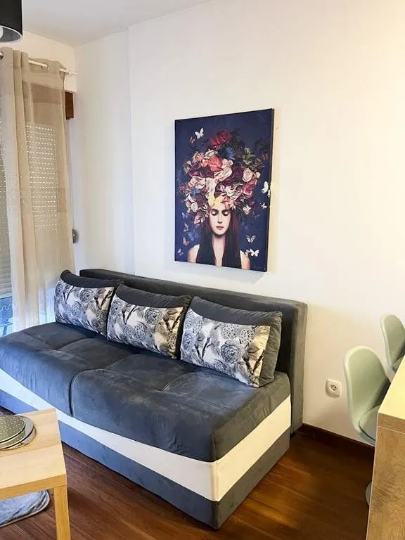 Izdavanje, garsonjera, 25m², Master Kvart, Podgorica