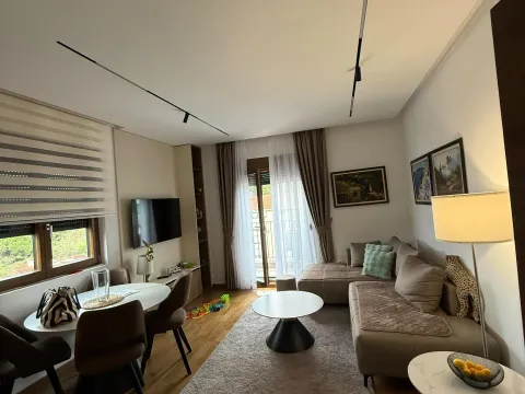 Rent, one bedroom apartment, 43m², Vezirov Most, Podgorica - image 2