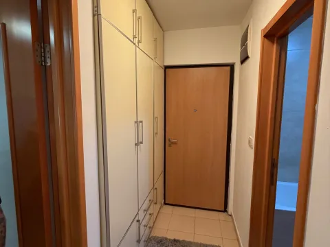 Rent, one bedroom apartment, 45m², Stari Aerodrom, Podgorica - image 5