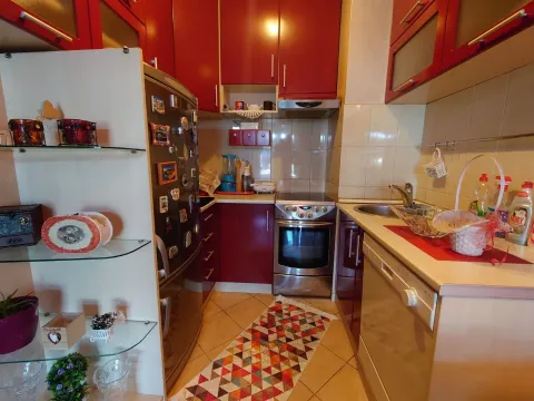 Izdavanje, jednosoban stan, 40m², Stari Aerodrom, Podgorica - image 8