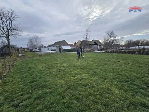 Prodaja, plac, Bački Petrovac, Novi Sad - image 1