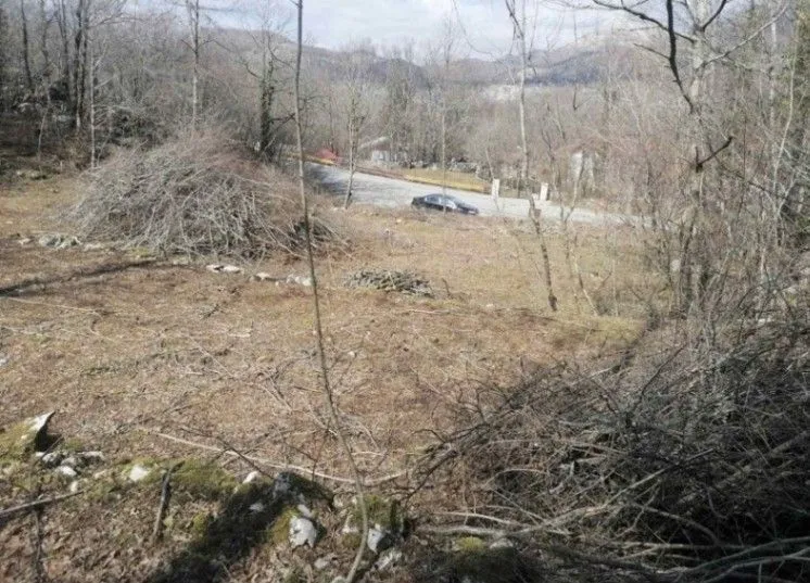 Prodaja, plac, 40000m², Boljevići, Bar