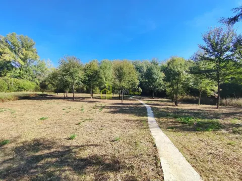 View of a spacious green yard with a pathway and trees. - image 5