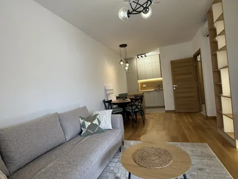 Izdavanje, jednosoban stan, 46m², New City, Podgorica - image 2