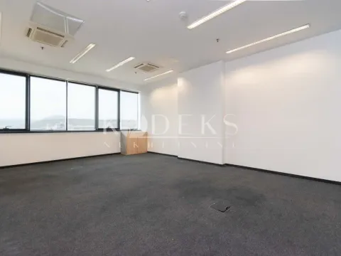 Izdavanje, poslovni prostor, 318m², Preko Morače, Podgorica - image 4